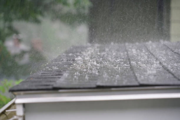 Best Hot Roofs  in Roseville, OH