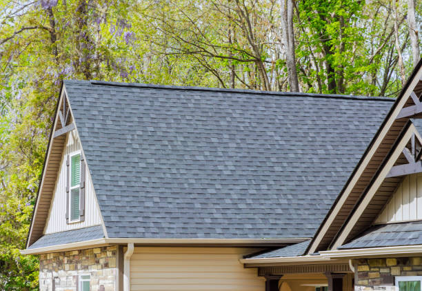 Best Solar Panel Roofing Installation  in Roseville, OH
