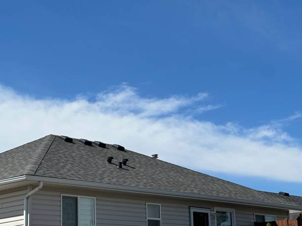 Best Chimney Flashing Repair  in Roseville, OH